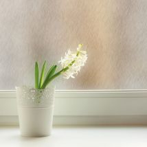 Transform - Film vitrostatique pour vitre Décoratif Lima 150 x 67,5cm Transparent