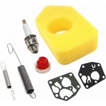 Roleader - Filtre à Air 698369 avec Carburateur Membrane Joint 495770 795083 Ressort de Régulateur 691859 692211 Bougie d'Allumage