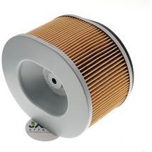 Jardiaffaires - Filtre à air compatible avec Yanmar remplace 114210-12590