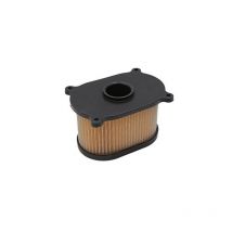 Dolaso - Filtre à air pour moto Hyosung GT250R