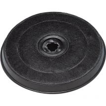 Wpro - Filtre charbon type E233 FAC519 EFF57 231X28 mm (roblin 5403003 481281718534) Hotte acec, aeg, ariston hotpoint, arthur martin electrolux,