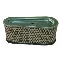 Filtre à air compatible pour moteur Briggs & Stratton, remplace 496894S - Arnold