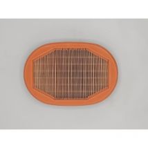 Mann Filter - Filtre a Air mann CF2135 - Equivalent sa 17317 hifi filter