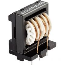 Schaffner - Filtre antiparasite EV24-1,0-02-10M 250 v/ac 1 a 10 mH (l x l x h) 24.6 x 17.4 x 29.1 mm 1 pc(s)