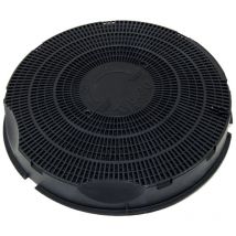 Ariston Group - Filtre charbon rond type 30 235mm 220g (à l'unité) (484000008609) Hotte aeg, arcelik, ariston hotpoint, arthur martin electrolux,