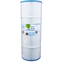 Filtre pour Waterway Dyna-Flo xl PWWDFX100 / SC856 / C-6310 par Darlly