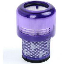 Swyeoot - Filtre lavable réutilisable pour aspirateur Dyson V11 V15 Detect