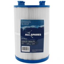 Filtre pour spa SC730 / 70759 / C-7367