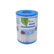 SC827 lot de 2 Filtres spa Darlly Cartouche de spa intex S1) Darlly