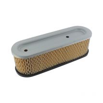 Filtro Aire briggs & stratton 399806, 491519