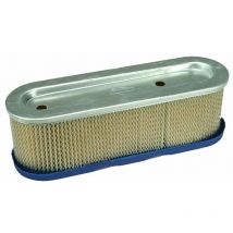 Filtro aria 10 e 12 hp albero verticale 253700, 281700