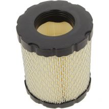 Filtro aria 798897 per motore tosaerba Briggs&stratton
