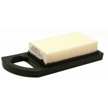Filtro Aria avs da 11,5 a 13,5 hp 21A900, 21B900 briggs & stratton