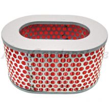 Filtro aria motocoltivatore motopompa compatibile motore Yanmar 11465012540