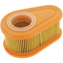 Briggs&stratton - Filtro aria 792038 , 790388 per motore tosaerba