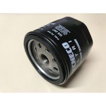 Filtro nafta esterno motore diesel lombardini 3LD 4LD 6LD Ruggerini rf rd medio