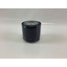 Filtro olio motore diesel gasolio nafta Lombardini 2.702.175.28