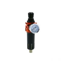 Filtro regolatore 1/4 12 bar 42 m/h LACME - 317500