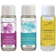 Lacoform – Aufguss Sauna-Duftset Starke Gesundheit – Bergkräuter, Eukalyptus, Lemongras – 250ml
