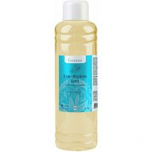 Cf group Finesse - Fragrance Sauna Hammam Senteur Eucalyptus Fort à Base d'Huiles Essentielles - Bouteille 1 l - Purifiant aux Accents Frais,