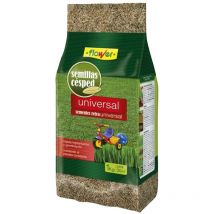 Semilla césped Universal - Flower
