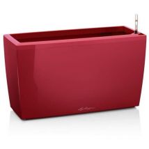 Vaso da interno cararo Premium 75 cm - Rosso Scarlatto Lucido - Rosso Scarlatto Lucido