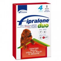 Vebi - Formevet Dog Fipralone Duo 40-60 Kg - Confezione Da 4 Pipette