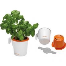 Fiskars - 111821 Bote de césped aromático ø 90 mm (por 4)