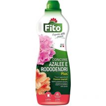 Azalee rododendri 1000ml - Fito