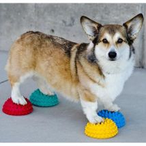Supporti di Allenamento dell'Equilibrio per Zampe Cani 4 pz Fitpaws Multicolore