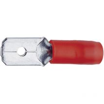 8203B Flachstecker Steckbreite: 4.8 mm Steckdicke: 0.8 mm 180 ° Teilisoliert Rot 1 St. - Klauke