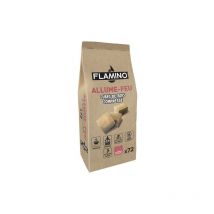 Allume feu cubes de bois compressé x 72 Flamino 878752