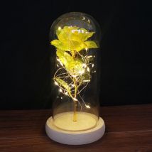 Fleur immortalisée à LED avec couvercle en verre rose en feuille d'or 24 carats