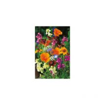 Fleurs comestibles - 10 g - Graines de fleurs