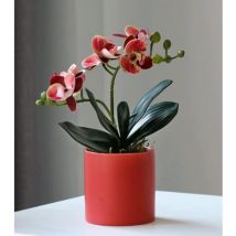 Fleurs de Plantes artificielles, Simulation Phalaenopsis Petite en Pot, Salon de Bureau Décoration de Bureau Fausses Plantes Vertes