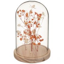 Fleurs séchées sous cloche Gypsy H17cm Atmosphera Créateur D'intérieur
