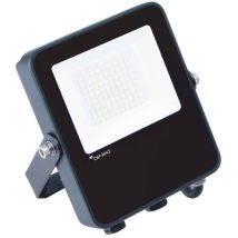 Flexo – Projecteur d'extérieur 20W 30W 50W – IP66 – Couleur de la lumière, Puissance, Alimentation électrique, Quantité par pack, Indice de protection