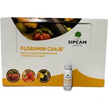 Sipcam - Floramin Cuaje Bioestimulante Concentrado Soluble - Expositor 40Ud...