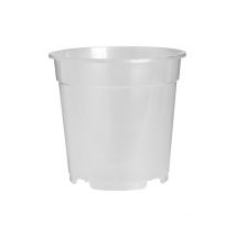 FLORUS - Pot orchidée 17cm transparent