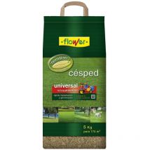 Semilla césped Universal - Flower