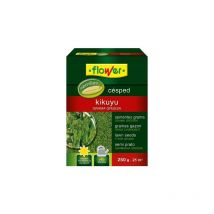 Flower - graines de gazon kikuyu 250 gr 1-10793 fleur