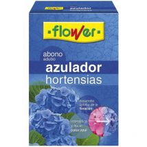 Azulador hortensias - Flower