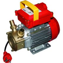 ROVER – Transferpumpe 20CE HP 0,5 – selbstansaugend, Bronze, Edelstahl, max. Ansaughöhe 9 m