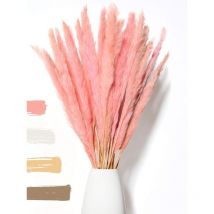 Fluffy Pampas Grass Dried 15 pieces - Dried Flowers - Natural, Sustainable and Easy to Clean - Stylish Decoration Pink