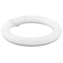 Fluorescente LED t9 circular 30cm 20W.(Fría, Cálida, Neutra) - Luz fría 6400K