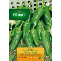 Graines De Poivron Vilmorin Padron S-1 749, 0.3 Gr