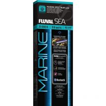 Plant Tijeras Spring Acero, 25cm - ref. 14482 - Fluval