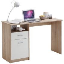 CALICOSY - Bureau avec Rangements L123cm - Jackson