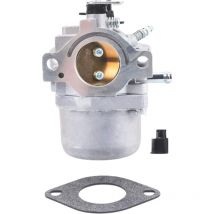 Tonchean - For 799728 Carburetor 498027 496894 498231 499161 494502 494392 Lawn mower