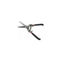 Forbice di precisione per potatura rose e altri fiori 200 mm Beast